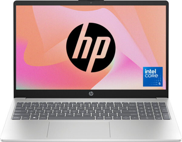 HP Laptop 39.6 cm (15.6) 15-fd1096TU, Silver